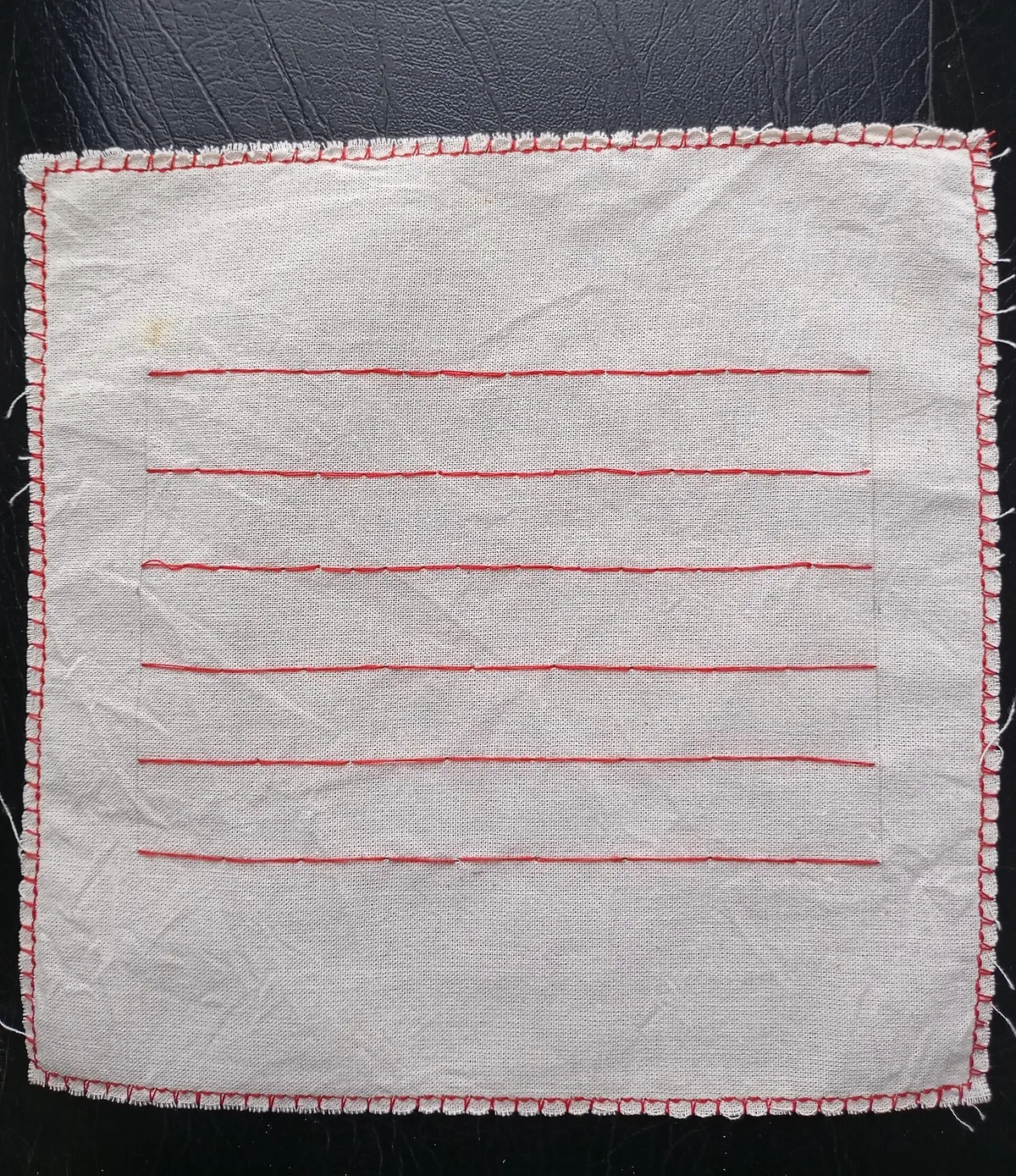 Close-up of hands guiding fabric and thread through careful stitches